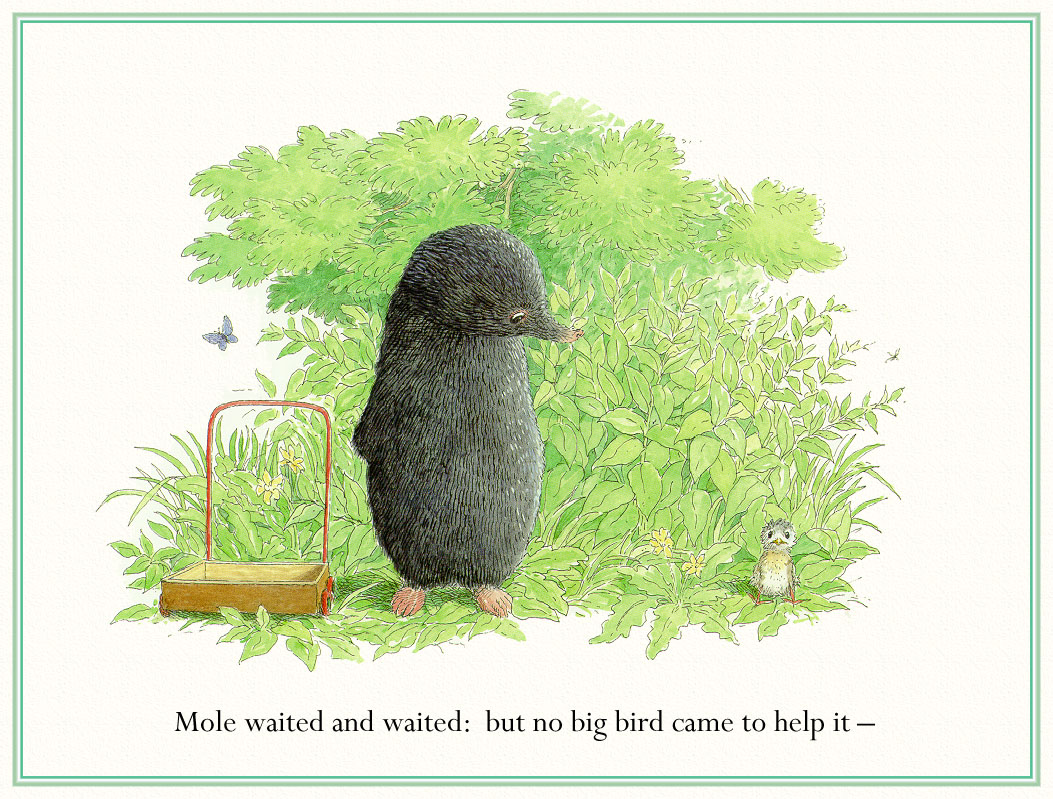 moleandthebabybird (03),绘本,绘本故事,绘本阅读,故事书,童书,图画书,课外阅读